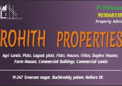 WhatsApp-Image-2024-12-14-at-17.29.18